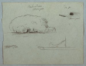 Rysunek, drzewo ceiba w Mompos, kajak Champan, drzewa i częściowo łódź, Rio Magdelena, Kolumbia, 1853, prawdopodobnie maj autorstwa Frederic Edwin Church