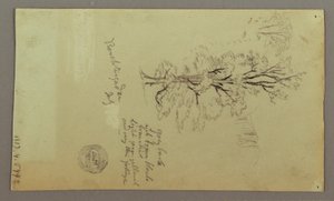 Rysunek, kominy, wodospady, rysunek itp., prawdopodobnie lipiec 1868 r. autorstwa Frederic Edwin Church