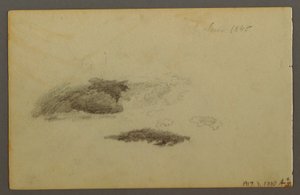 Rysunek, spróchniała brzoza, 1844 r. autorstwa Frederic Edwin Church