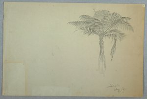 Rysunek, Studium drzewa paproci, Jamajka, sierpień 1865 r. autorstwa Frederic Edwin Church