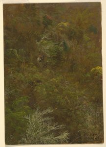 Rysunek, zbocze wzgórza porośnięte krzewami i drzewami, lipiec 1865 r. autorstwa Frederic Edwin Church