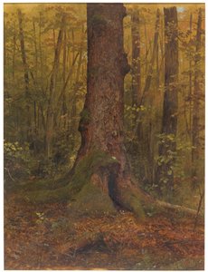 Rysunek, W lesie, prawdopodobnie Maine, 1850-60 autorstwa Frederic Edwin Church