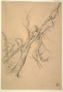 Rysunek, obozowisko Indian, Grand Manan, Zatoka Fundy, wrzesień 1851 r. autorstwa Frederic Edwin Church