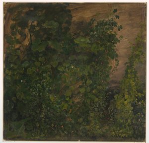 Rysunek, Roślinność w dżungli, 1865 autorstwa Frederic Edwin Church