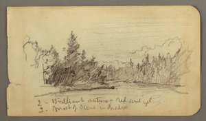 Rysunek, jezioro otoczone drzewami, prawdopodobnie 1878 r. autorstwa Frederic Edwin Church