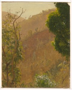 Rysunek, krajobraz, lipiec 1865 r. autorstwa Frederic Edwin Church