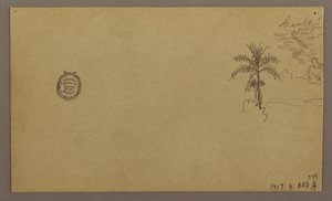 Rysunek, krajobraz; Verso: Drzewo w krajobrazie, niebo, maj-sierpień 1865 r. autorstwa Frederic Edwin Church