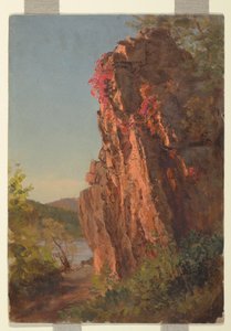 Rysunek, Krajobraz z dużą skałą, prawdopodobnie Karolina Północna, 1865-70 autorstwa Frederic Edwin Church