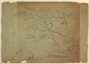 Rysunek, Krajobraz z drzewami i strumieniem [], wyspa Grand Manan, Kanada, wrzesień 1851 r. autorstwa Frederic Edwin Church