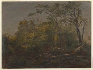 Rysunek, Maine Woods, 1845-55 autorstwa Frederic Edwin Church