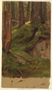 Rysunek, Maine - lasy, 1855-65 autorstwa Frederic Edwin Church