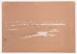 Rysunek, bagnisty krajobraz w pobliżu Millinocket, 20 września 1878 r. autorstwa Frederic Edwin Church