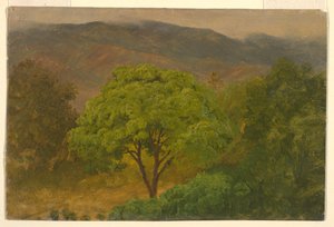 Rysunek, Krajobraz górski, sierpień 1865 r. autorstwa Frederic Edwin Church