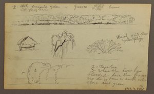 Rysunek, pasma górskie "wchodzące do Guayaquil"; Verso: brzeg rzeki, szkice botaniczne, prawdopodobnie 1857 r. autorstwa Frederic Edwin Church