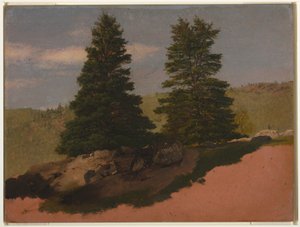 Rysunek, Krajobraz Nowej Anglii (dwie sosny), 1850 r. autorstwa Frederic Edwin Church