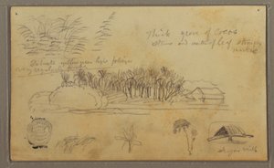 Rysunek, Szkice, Ekwador lub Kolumbia; Verso: Szkice, Ekwador lub Kolumbia, 1857 r. autorstwa Frederic Edwin Church