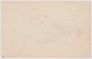 Rysunek, Szkice chmur i martwej brzozy, lipiec 1844 r. autorstwa Frederic Edwin Church