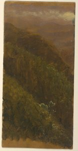 Rysunek, strome zbocze, lipiec 1865 r. autorstwa Frederic Edwin Church