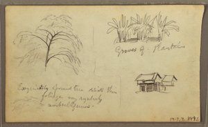 Rysunek, róg ulicy w Guaquil, Ekwador; Verso: Szkice botaniczne, dom, Ekwador lub Kolumbia, 1857 r. autorstwa Frederic Edwin Church