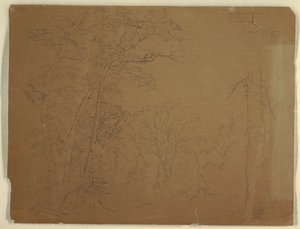 Rysunek, drzewa, wyspa Grand Manan, Kanada, 1851 r. autorstwa Frederic Edwin Church