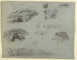 Rysunek, Drzewa, wierzchołki drzew i zalesiony brzeg, Saddleback, Maine, 1853 r. autorstwa Frederic Edwin Church