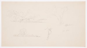 Rysunek, Drzewa, brzeg z krzewami i drzewami, wrzesień 1876 r. autorstwa Frederic Edwin Church