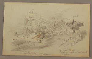Rysunek, drzewa, prawdopodobnie lata 60. XIX wieku autorstwa Frederic Edwin Church