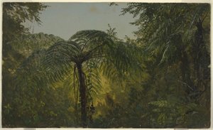 Rysunek, krajobraz tropikalny, czerwiec lub lipiec 1865 r. autorstwa Frederic Edwin Church