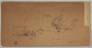 Rysunek, widok na Toche, Kolumbia, lipiec 1853 r. autorstwa Frederic Edwin Church