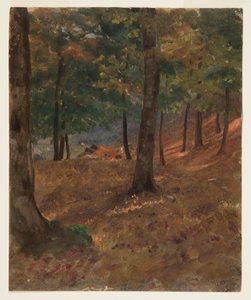 Rysunek, scena leśna, 1870-80 autorstwa Frederic Edwin Church
