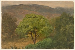 Drzewo Genip w górach, Jamajka autorstwa Frederic Edwin Church