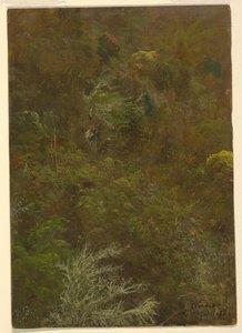 Wzgórze z drzewami, Jamajka autorstwa Frederic Edwin Church