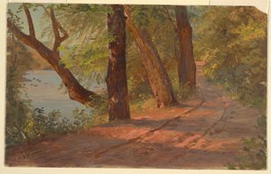 Krajobraz z Ameryki Północnej (Droga nad jeziorem) autorstwa Frederic Edwin Church