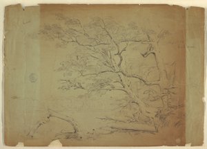 Krajobraz z drzewami i strumieniem [?], Wyspa Grand Manan, Kanada autorstwa Frederic Edwin Church