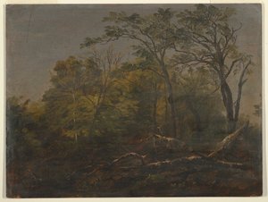 Lasy Maine autorstwa Frederic Edwin Church