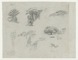 Szkice z Ameryki Południowej.  Szkice botaniczne.   Lecący żuraw. autorstwa Frederic Edwin Church