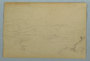 Szkice roślin i części balustrady graniczącej z tarasem w gospodzie w Guaranda, Ekwador autorstwa Frederic Edwin Church