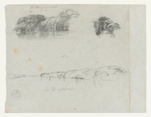 Szkice drzew, winorośli i brzegu Rio Magdalena, Kolumbia autorstwa Frederic Edwin Church