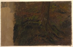 Badanie pnia drzewa autorstwa Frederic Edwin Church