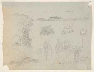 Studiuj z wierzchołkami drzew, drzewami, pięcioma wzorami roślin i odległą wyspą autorstwa Frederic Edwin Church