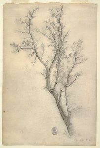 Drzewo z wieloma konarami autorstwa Frederic Edwin Church