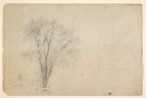 Drzewa autorstwa Frederic Edwin Church