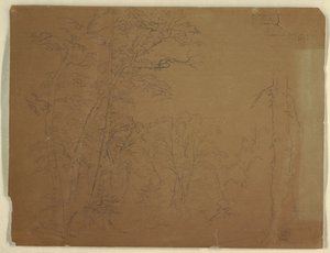 Drzewa, Wyspa Grand Manan, Kanada autorstwa Frederic Edwin Church