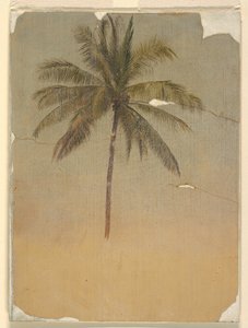 Pień i wierzchołek palmy autorstwa Frederic Edwin Church