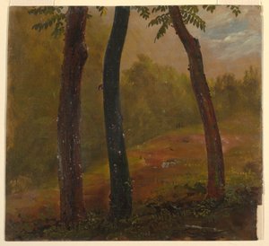 Scena leśna, Jamajka autorstwa Frederic Edwin Church
