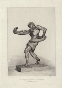 Sportowiec dusi Pythona