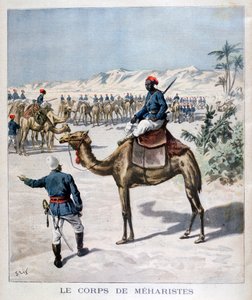 Ciało Meharist, 1894