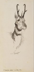 Antylopa Pronghorn autorstwa Frederic Remington