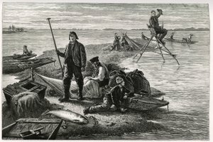 Połów łososia. Grawer autorstwa F.Lixa, ilustrujący opowieść „Przez Alzację i Lotaryngię””, w 1884 r. autorstwa Charlesa Grada (1842-1890), niemieckiego deputowanego, pisarza i przyrodnika. Opublikowano w Le Tour du monde, nouveau journal des voyages, 2. s autorstwa Frederic Theodore Lix