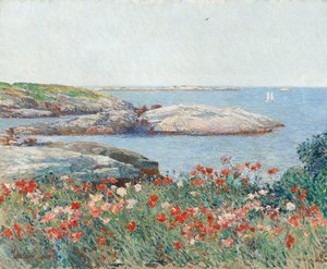 Maki, Isles of Shoals, 1891.